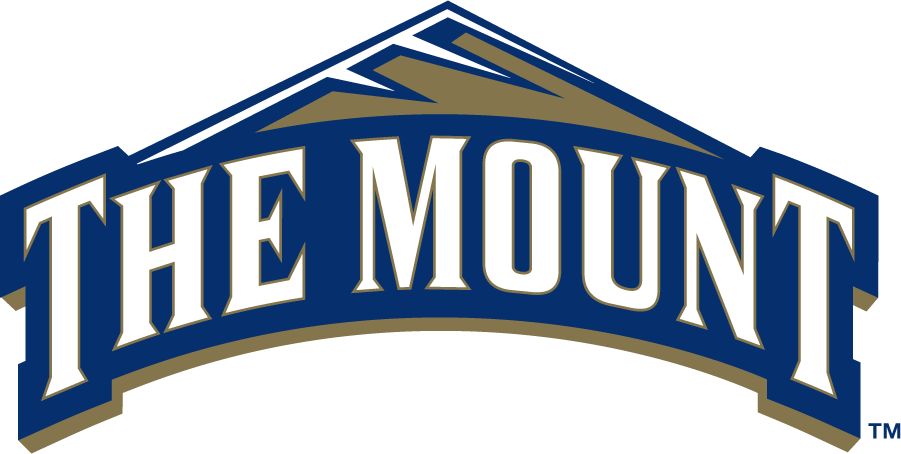 Mount St. Marys Mountaineers 2006-2016 Primary Logo diy DTF decal sticker